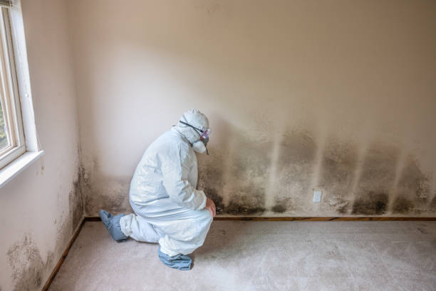 Best Crawl Space Mold Remediation  in , MS