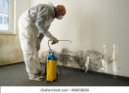 Best Emergency Mold Remediation  in , MS